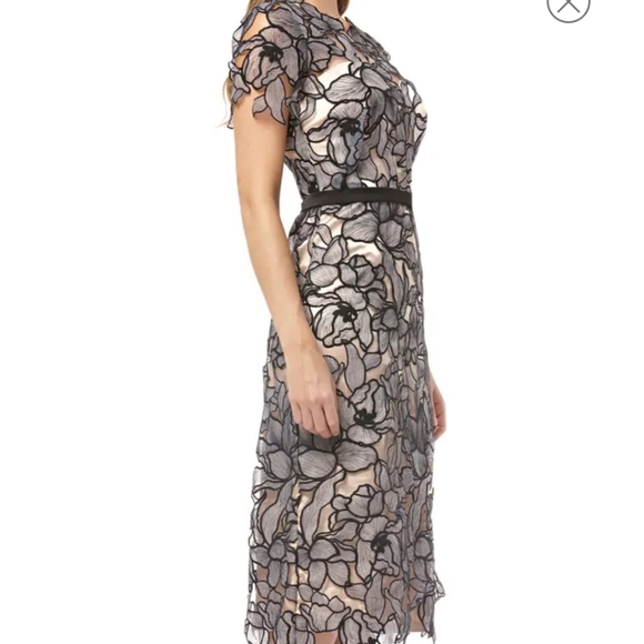 JS Collections Souctach Lace Midi Dress - Picture 3 of 10